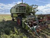 Claas consul