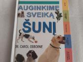 Auginkime sveiką šunį
