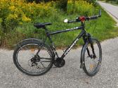 Conway Cross Comfort 300 29" dviratis