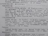 Lietuvių etnografijos bruožai - nuotraukos Nr. 7