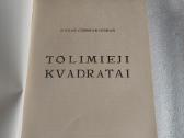 Tolimieji kvadratai - nuotraukos Nr. 2
