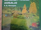 Visžaliai ir kiti dekoratyviniai augalai