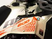 Keturratis Magnum 250cc su lietais ratlankiais! - nuotraukos Nr. 7