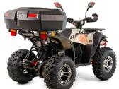 Keturratis Magnum 250cc su lietais ratlankiais! - nuotraukos Nr. 5