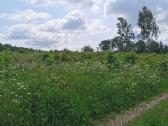 3,9835 ha žemės ūkio paskirties sklypas Trakų raj. - nuotraukos Nr. 2