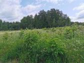 3,9835 ha žemės ūkio paskirties sklypas Trakų raj. - nuotraukos Nr. 3