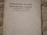 Medicina - nuotraukos Nr. 3