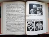 Ceramas. Pirmasis amerikietis - nuotraukos Nr. 16
