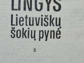 Lietuviškų šokių pynė - nuotraukos Nr. 2