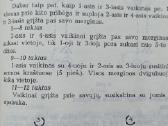 Lietuviškų šokių pynė - nuotraukos Nr. 4