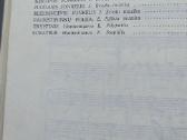 Lietuviškų šokių pynė - nuotraukos Nr. 5