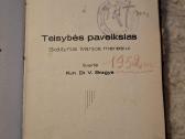 Teisybės paveikslas - nuotraukos Nr. 4