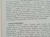 Probočių šešėliai - nuotraukos Nr. 3