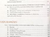 "Istorija 11 kl." 1 dalis - nuotraukos Nr. 6