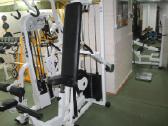 Technogym kojų bicepsams ,blauzdoms ir tricepsams - nuotraukos Nr. 3