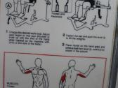 Technogym kojų bicepsams ,blauzdoms ir tricepsams - nuotraukos Nr. 4