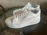 Puma - nuotraukos Nr. 3