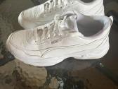 Puma - nuotraukos Nr. 3