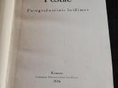 Postile - nuotraukos Nr. 2