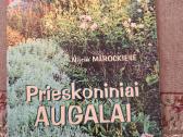 Prieskoniniai augalai