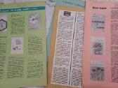 Parduodu 70vnt žurnalų,пчеловодства,1966,67,68,69 - nuotraukos Nr. 20