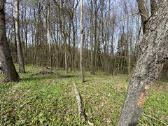 Sklypas prie Kamšos draustinio - nuotraukos Nr. 3