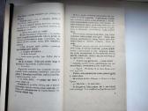 F. Neveravičius. Blaškomos liepsnos - nuotraukos Nr. 6