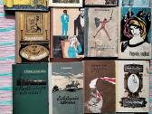 Fiodoras Dostojevskis Broliai Karamazovai I tomas - nuotraukos Nr. 27
