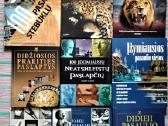 Lietuvos istorijos paminklai Birutė Kulnytė - nuotraukos Nr. 8