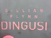Dingusi