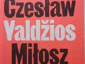 Valdžios užėmimas