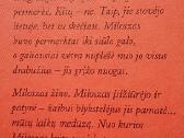 Valdžios užėmimas - nuotraukos Nr. 3