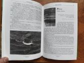 Viktoras Armalis "Žūklės paslaptis" - nuotraukos Nr. 8