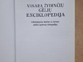 Vasarą žydinčių gėlių enciklopedija - nuotraukos Nr. 2