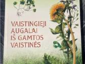 Vaistingieji augalai iš gamtos vaistinės