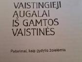 Vaistingieji augalai iš gamtos vaistinės - nuotraukos Nr. 3