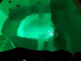 Lauko spa,masažinė vonia,jakuzzi - nuotraukos Nr. 4
