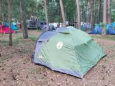Coleman Darwin 4 Plus palapinė - nuotraukos Nr. 2