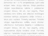 Trinkelių,terasų plovimo įranga+ dovana - nuotraukos Nr. 29