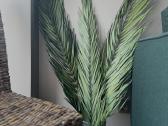 Stabilizuotos palmės šakos iš Indijos - nuotraukos Nr. 2