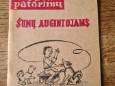 370 patarimų šunų augintojams