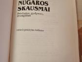 Nugaros skausmai - nuotraukos Nr. 2