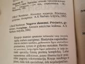 Nugaros skausmai - nuotraukos Nr. 6