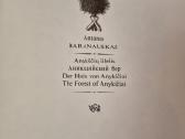 Anykščių šilelis - nuotraukos Nr. 2