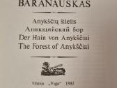 Anykščių šilelis - nuotraukos Nr. 4