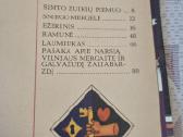 Pasaka apie narsią Vilniaus mergaitę ir galvažudį - nuotraukos Nr. 3