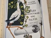 Gilės nuotykiai ydų šalyje - nuotraukos Nr. 2