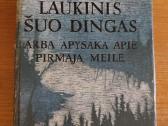 Frajermanas R. Laukinis šuo Dingas - nuotraukos Nr. 3