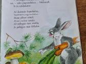 Pagrandukas - nuotraukos Nr. 5