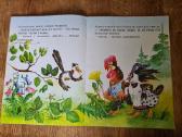 Kelionė į pasaulio kraštą - nuotraukos Nr. 5